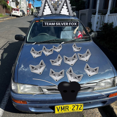 Team Silver Fox